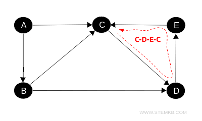 example of a cycle in a digraph