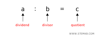 division