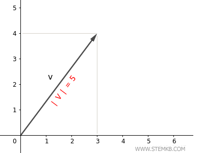 Vector Length