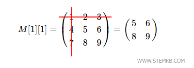 submatrix M[1][1]