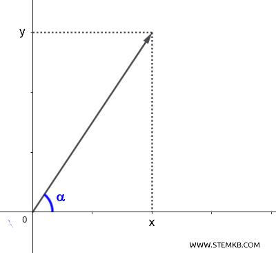 the vector
