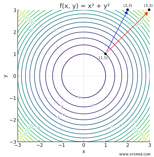 gradient vector at the point (1,1)