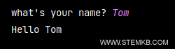 how to use input function in python
