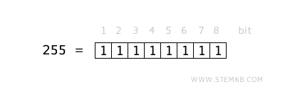 8 bit binary number