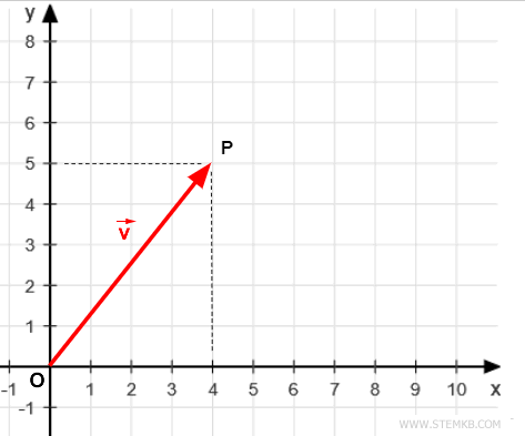 The coordinates of the vector